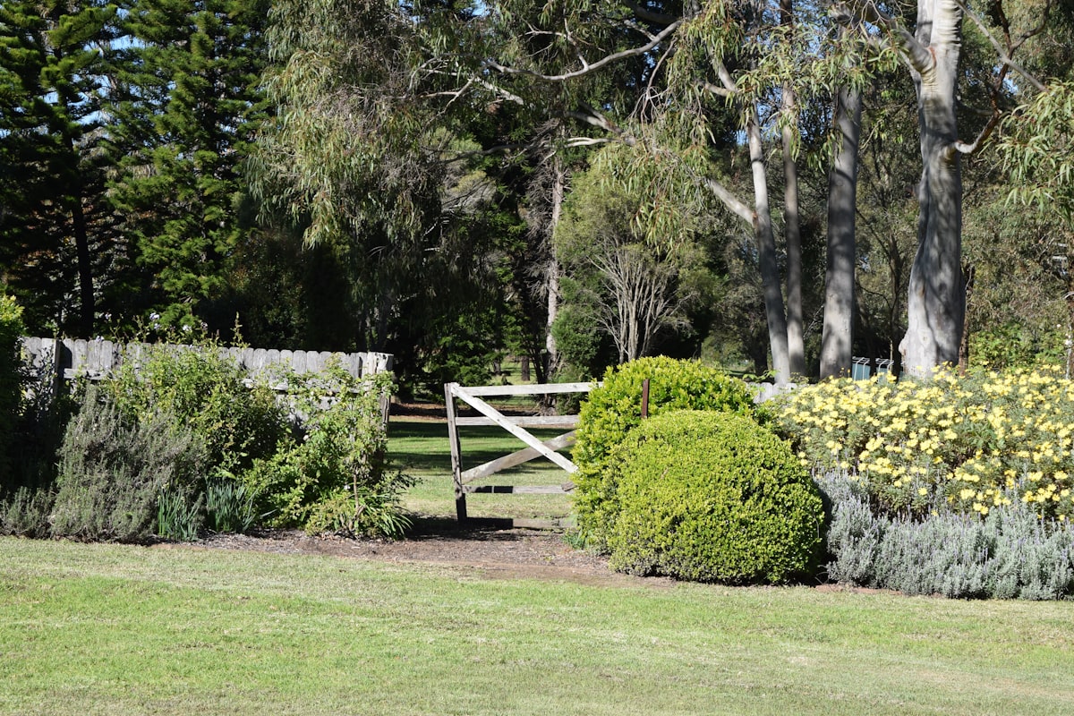 Tidy garden with hedged borders